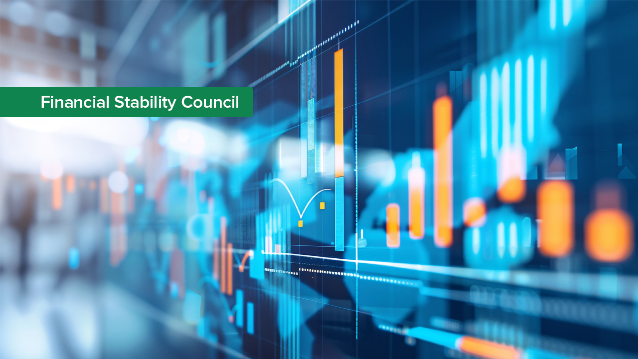 Financial Stability Council Highlights Risks of Tax Hike on Banks, Approves Regulation Concept for Virtual Assets Market