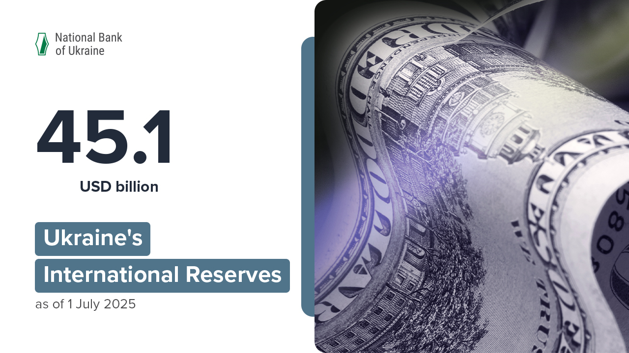 International Reserves at USD 45.1 Billion in June