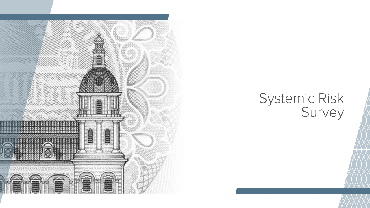 Financial Sector Resilience to High-Impact Adverse Events Remains Unchanged Despite High Risk Assessments – Systemic Risk Survey