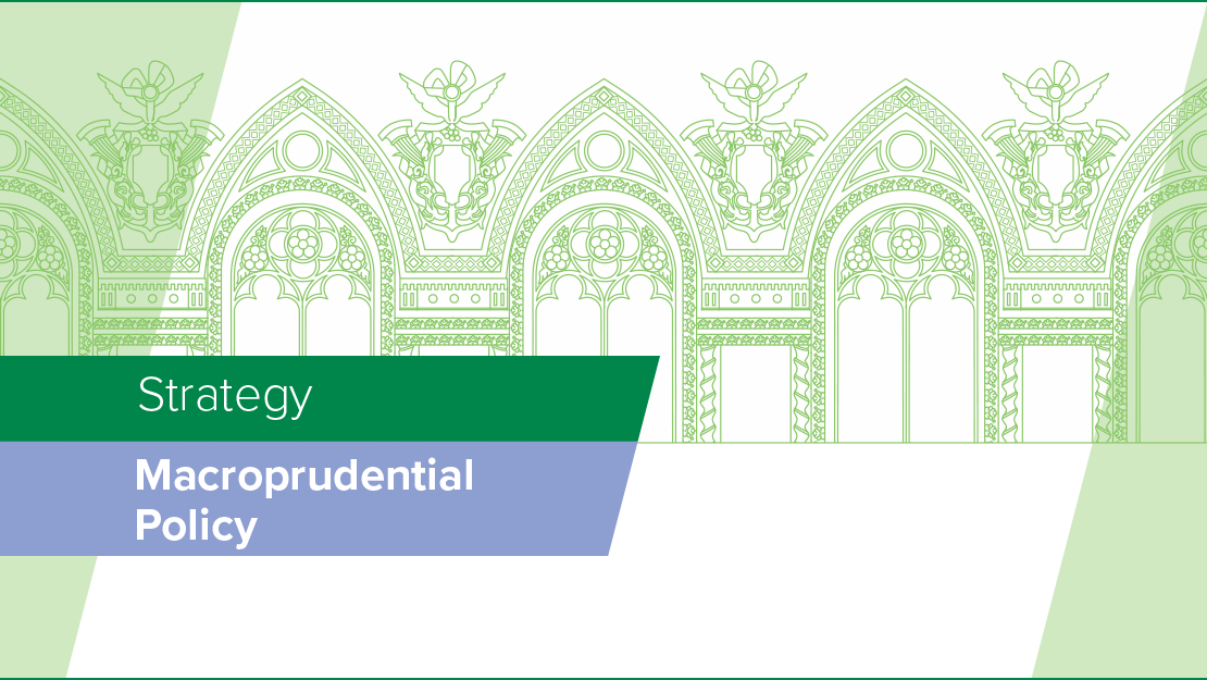 Macroprudential Policy Strategy of the National Bank of Ukraine, 2018